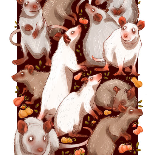 Drawn in Procreate. Available as postcards and posters. Rats and pumpkins, nice in autumn and anytime really.