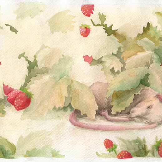 Watercolour on paper. A rat enjoying a nice nap in a field of strawberries, cuddling up with a leave.